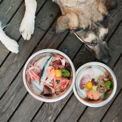 Raw feeding 101 offers exclusive raw feeding video content to help you transition your dog onto a raw diet. How Much Food Should I Feed My Dog on a Raw Diet?