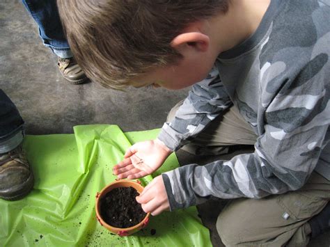Indoor fun with kids: Planting seeds with kids