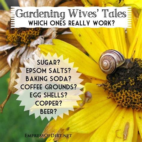 Gardening Wives Tales Which Ones Really Work Garden Help Garden Lawn And Garden