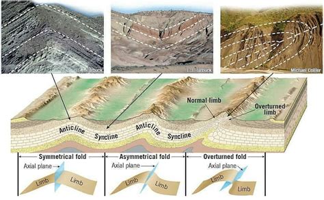 Common Types Of Folds Reposted Rocks Rock Sandstone Earth
