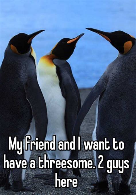 My Friend And I Want To Have A Threesome 2 Guys Here