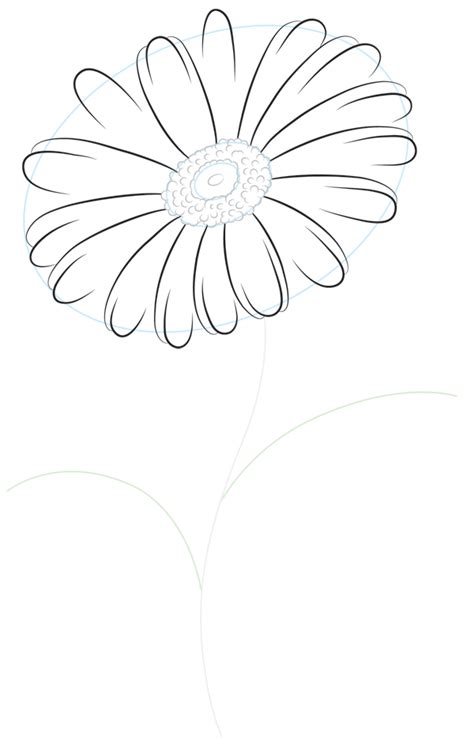 This daisy flower step by step drawing tutorial is easy to follow. How to Draw a Daisy | Flower drawing, Daisy flower drawing ...