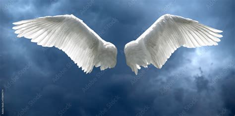 Angel Wings With Stormy Sky Background Stock Photo Adobe Stock