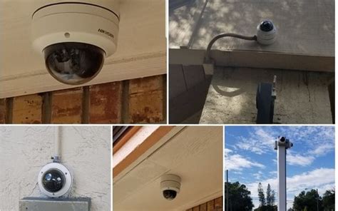 Palm harbor pest control experts for roaches, ants, rats and other insects, bugs and pests. Vortex 1 Security - Palm Harbor, FL - Alignable