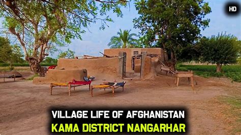 Afghanistan Village Life Kama District Nangarhar Province 2020