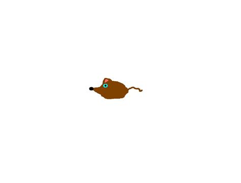 Animated Mouse Running