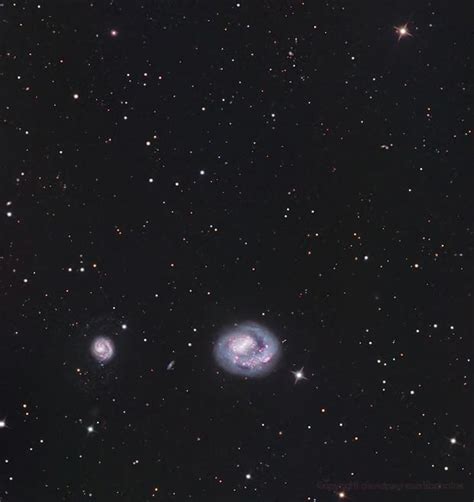 Arp23 Ngc 46184625 One Armed Dwarf Galaxy In Halrgb David Payne