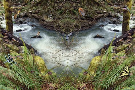 Wilson Creek Mirror Art 2019 1 With Critters Photograph By Ben Upham