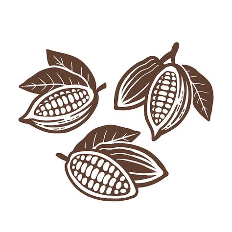 Icono De Granos De Cacao Conjunto De Dibujos Vectoriales Vector Premium