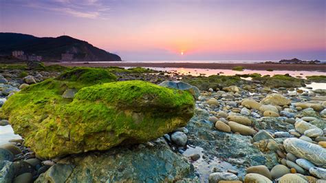 Wallpaper Sea Beach Rocks Stones Moss Morning Dawn