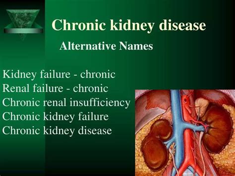 Ppt Chronic Kidney Disease Powerpoint Presentation Free Download