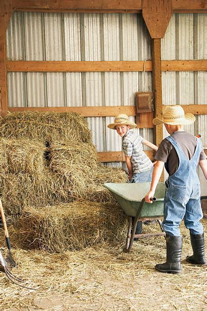 Best Farm Boys Stock Photos Pictures And Royalty Free Images Istock