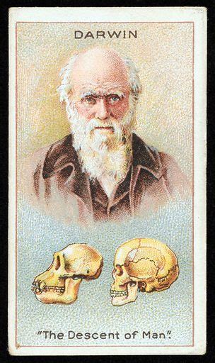 Charles Darwin The Descent Of Man Free Public Domain Image Look And Learn