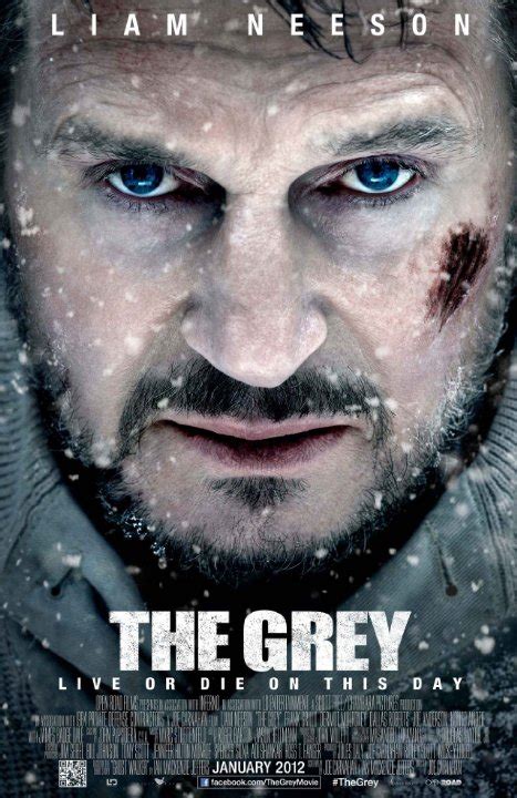 An irish actor who has been nominated for an oscar, a bafta and three golden globe awards. The Grey - Movie Review - Liam Neeson - A Meditation On ...