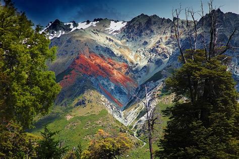 Free Images Landscape Tree Nature Forest Wilderness Trail