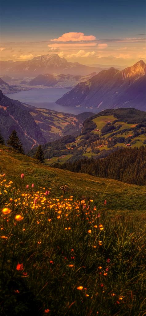 Fonds Décran Suisse Montagnes Prairie Maisons Arbres Crépuscule