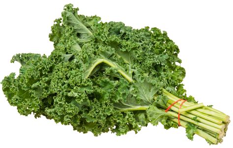 Kale Png 10 Free Cliparts Download Images On Clipground 2023