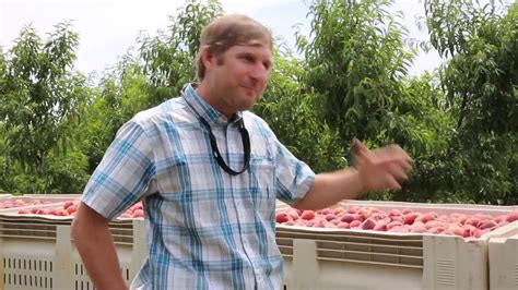 South Carolina Peach Crop Youtube
