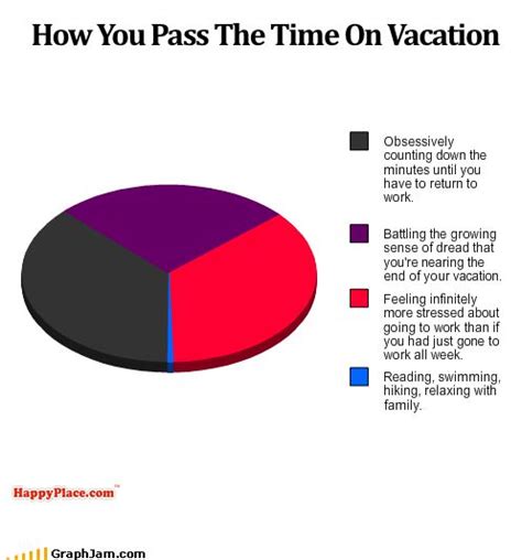 How You Pass The Time On Vacation Funny Pie Charts Funny Charts