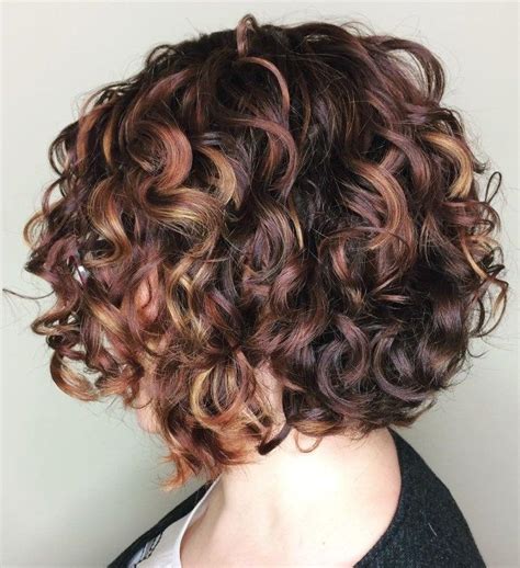 brown curly bob with highlights medium curly bob short curly bob long curly hair short hair