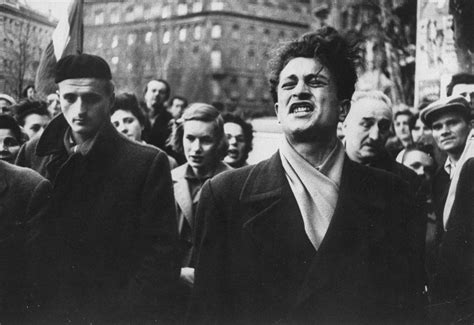 the hungarian revolution of 1956 photos from the streets of budapest