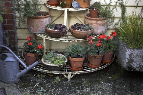 8 Tips For Fall And Winter Container Gardening