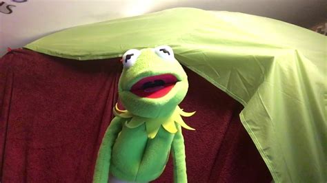 Kermit The Frog Sings Wonderful Tonight Youtube