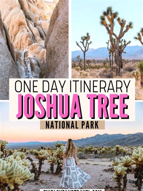 Joshua Tree National Park One Day Itinerary Find Love And Travel