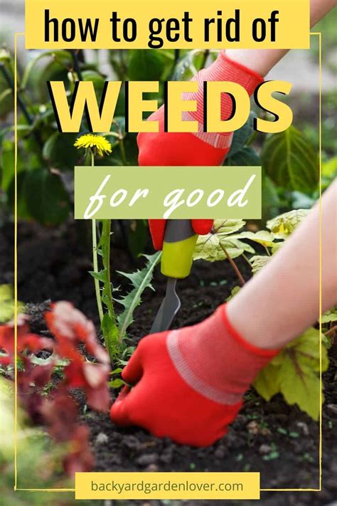Surprise weeds pop up hale and hearty in the very place you worked so hard to clear out two days ago. How To Get Rid Of Weeds For Good