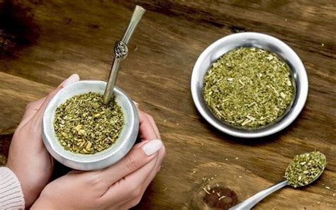 Yerba Mate Tea How Adding It To Your Diet Can Benefit Your Health