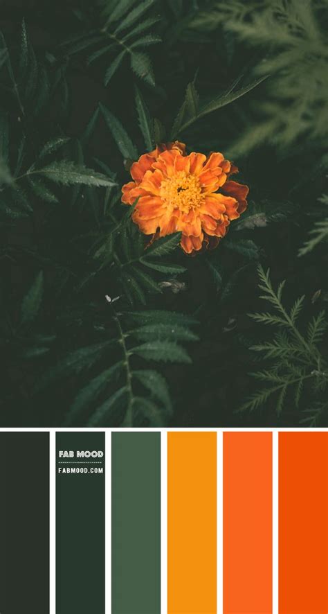 Forest Green And Burnt Orange Color Scheme Color Palette