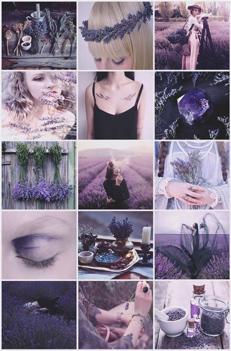 Aesthetics Chaos Witch Aesthetic Witch Aesthetic Collage