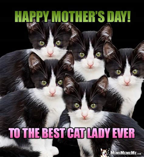 This cool cat sends happy mother's day greetings to you, mom. Happy Mother's Day Mom! Funny Party Animals Wish Mommy ...
