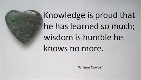 Quotes About Knowledge And Wisdom Holidappy