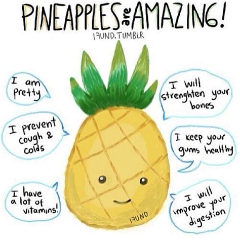 Quotes About Pineapples 37 Quotes
