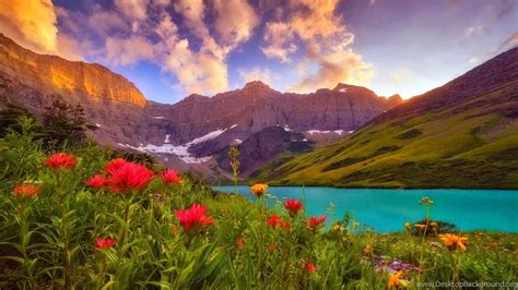Top Ideas 35 Best Hd Nature Wallpapers For Windows 10