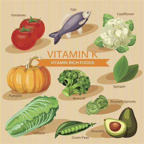 Foods Rich In Vitamin K List