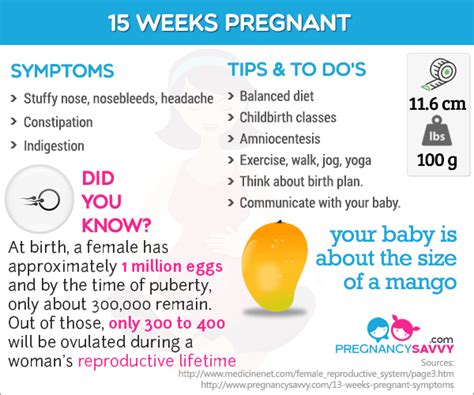 Pin On Pregnancy Weeks Infographic