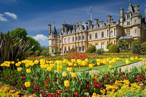 Spring Tulips In Full Bloom Waddesdon Manor Gardens Buckinghamshire