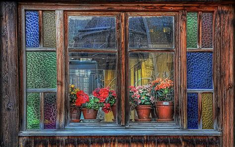 Flowers Window Wooden Frame Interior Sill Hd Wallpaper Peakpx