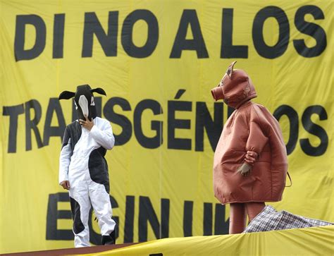 más de 100 premios nobel critican a greenpeace por rechazar transgénicos efeverde