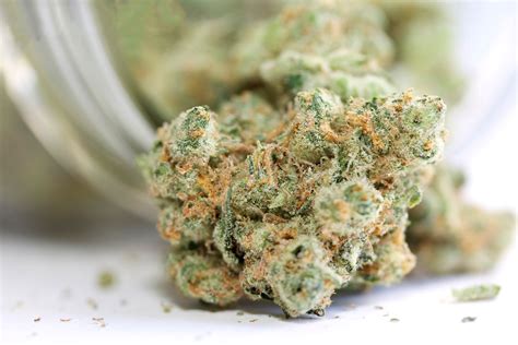 What Are Some High Thc And High Cbd Strains Leafbuyer
