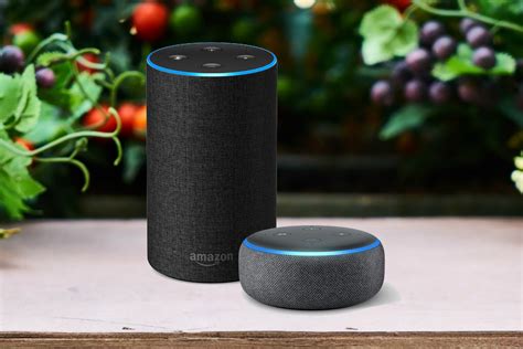 How To Make Voice Or Video Calls Using Amazon Alexa