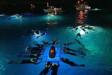 Big Island Hawaii Night Manta Ray Snorkel Experience