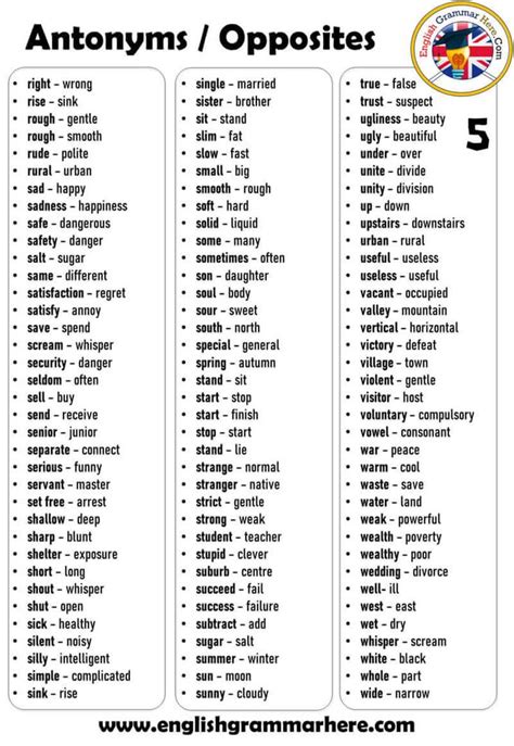 Antonyms Examples Words