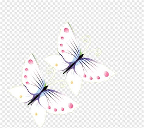 Butterfly White Прозрачность и прозрачность бабочка белый компьютер