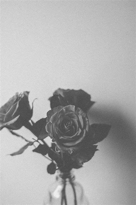 1000 beautiful black and white background photos pexels free of course in the past when photography first started off there was. Untitled | Mood Board | Gray aesthetic, White aesthetic ...