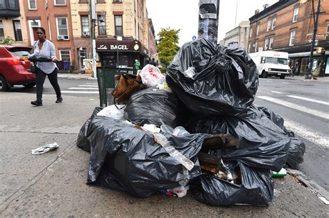 Nyc Plans To Fight Rat Problem By Limiting Hours Trash Bags Can Sit On