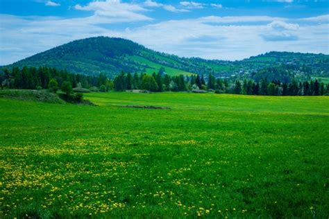 Meadow And Hills Free Stock Photo Public Domain Pictures