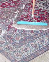 Pictures of Carpet Cleaning In Silver Spring Md